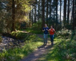 Escape to the Bridge House Hotel this Autumn for 2 nights