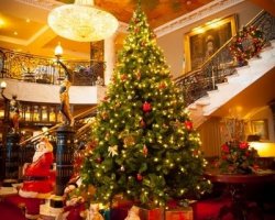 View Christmas Party, Dining & Festive Options